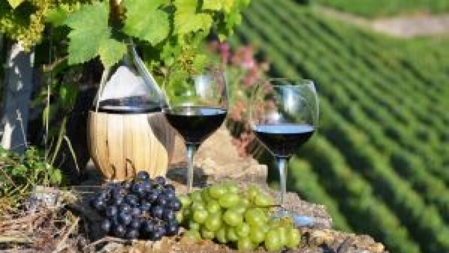 Predstavljeni vinari Bjelovarske županije