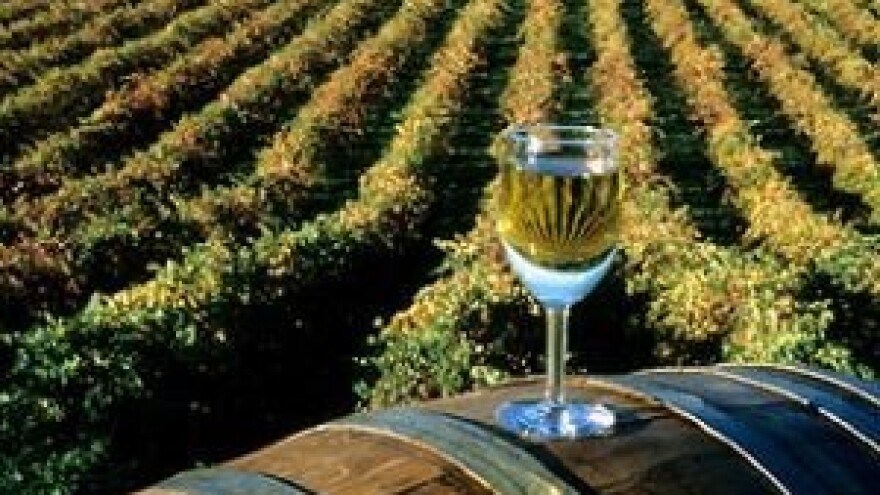 Radionica za vinare i vinogradare