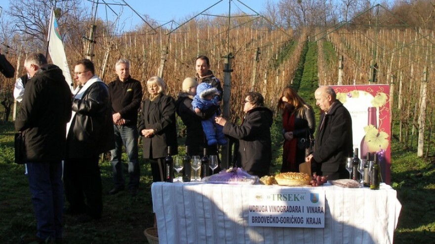 Vincekovo vratilo zimu na polja