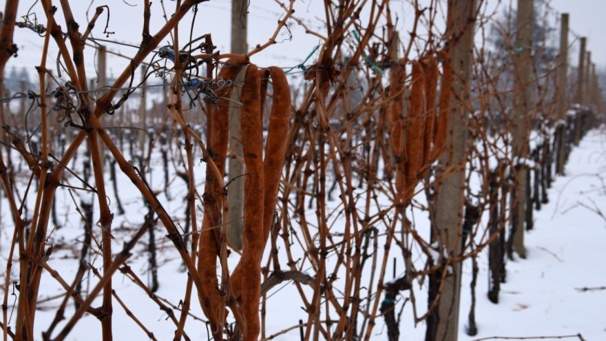 Vincekovo u Kleti Ljubekov Gaj - čekaju vas domaće kobasice i kuhano vino