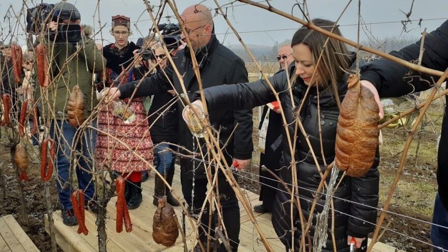 Proslava blagdana svetog Vinka u Mandićevcu, u Kuriji Nespeš otkazana