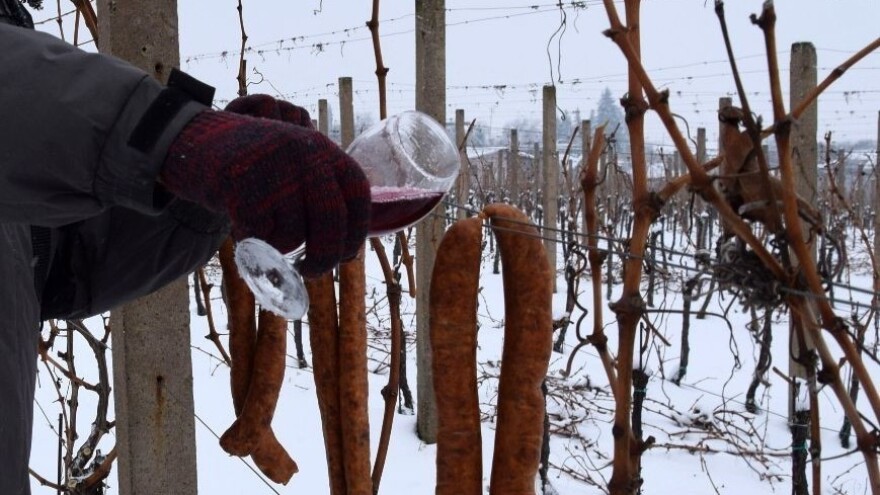Vinkovo uz Covid, ali i mjere vinara: Nema priča o politici, problemima i negativnim emocijama!