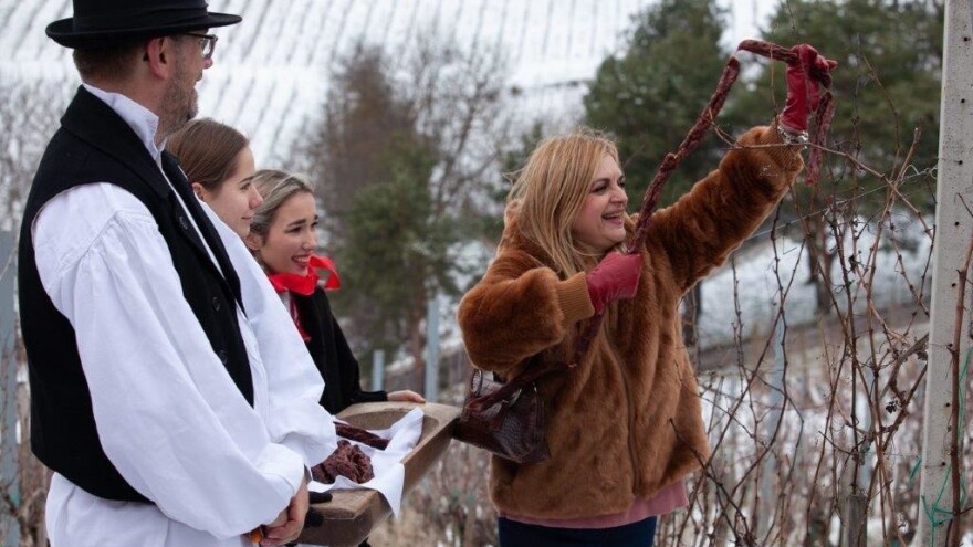 Trsek moj, zbudi se: U Kleti Ljubekov Gaj obilježeno Vincekovo