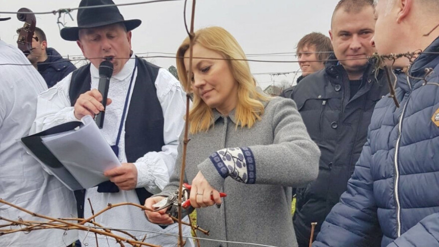 Marijana Petir: Snažnije se uključite u korištenje Vinske omotnice
