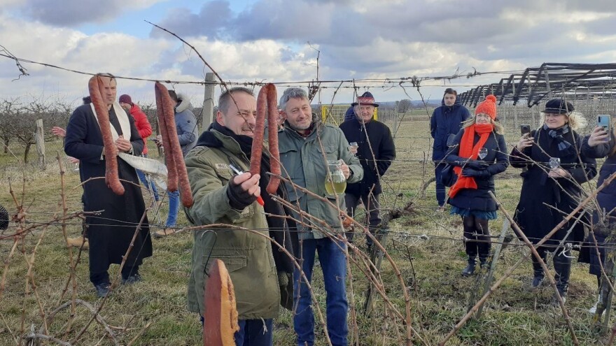Sa Zlatnog brda stiže i prvi baranjski Syrah