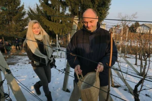 Vincekovo u Svetom Ivanu Zelini