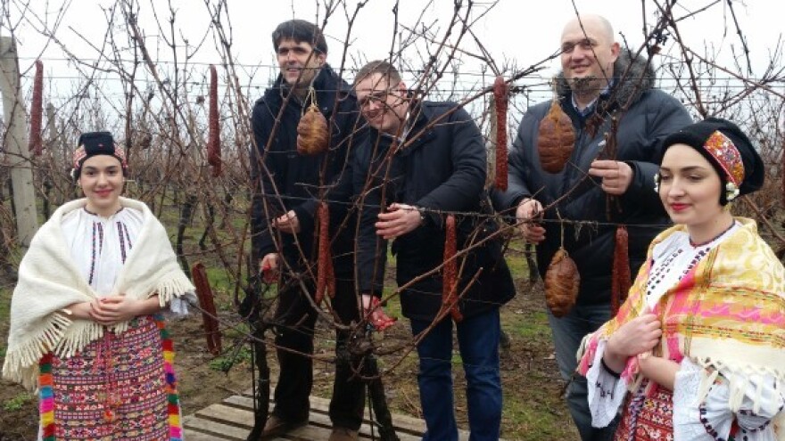 Najveća Vinceška u Baranji!