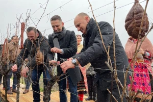 Uz prvi snijeg obilježena Vinceška u najvećoj hrvatskoj vinariji