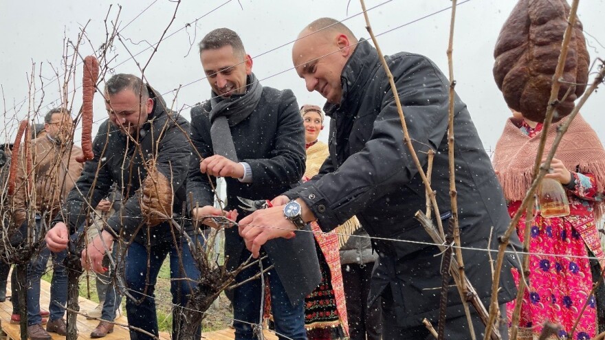 Uz prvi snijeg obilježena Vinceška u najvećoj hrvatskoj vinariji