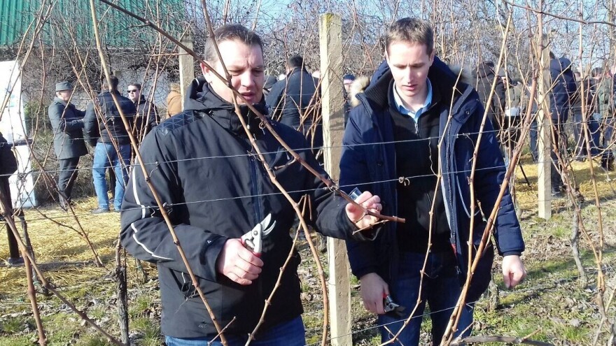 Suradnja FAZOS-a i najistočnije županije: Mogućnosti revitalizacije nekorištenog zemljišta