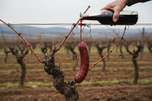 Vinceška u beljskim vinogradima!