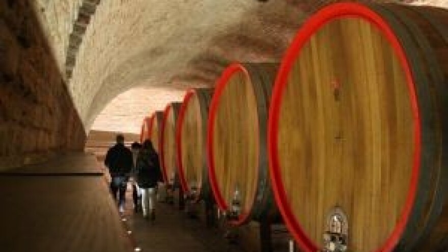 Vinceška 2014. - u srcu Baranje