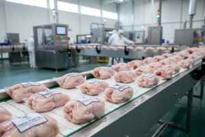 Vindijin Cekin u Srbiji dobio izvozni broj za EU