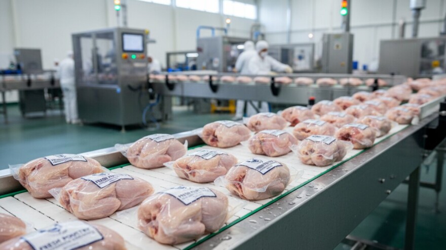 Vindijin Cekin u Srbiji dobio izvozni broj za EU