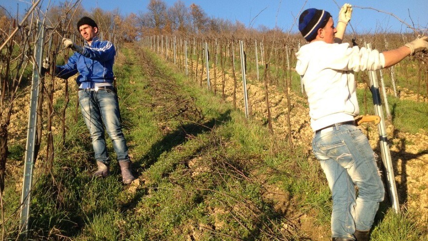 Šta se radi, a šta sadi u februaru?