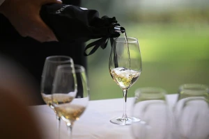 Ususret Vinistri: Kozlovićeva Santa Lucia iz 2018. najbolja malvazija na svijetu