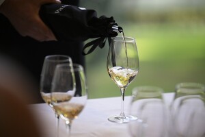Ususret Vinistri: Kozlovićeva Santa Lucia iz 2018. najbolja malvazija na svijetu