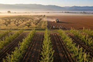 Vinka napokon na redu za konsolidaciju