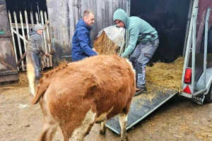 Vinka poklonila Zilhadu junicu: Da mu bude dar i blagoslov