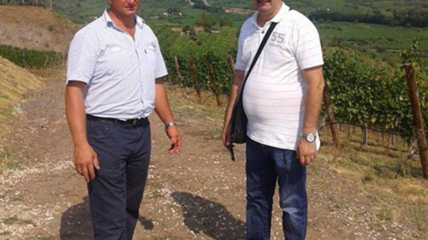 Tradicija vinogradarstva seli u srce Bosne