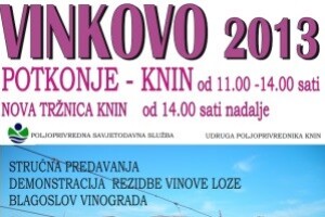 Vinkovo 2013. u Potkonju