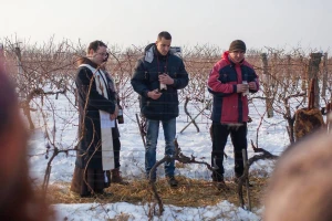 Vinkovo u Iloku obećava potoke iločkog vina i gastro delicija