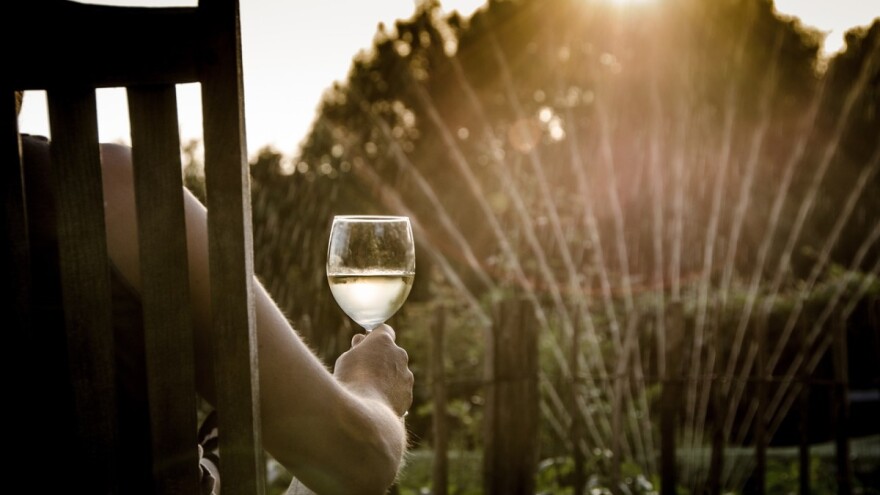 Legaliziranje kanabisa izgurat će potrošnju vina?