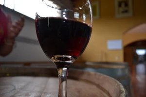 Dozrevanje vina u podrumu za bolji ukus