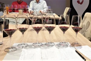 Šesti Salon vina u Kragujevcu ove godine 18. juna