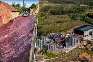 Bujica crnog vina tekla ulicom - završila u polju i potoku