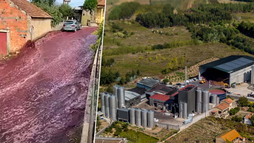 Bujica crnog vina tekla ulicom - završila u polju i potoku