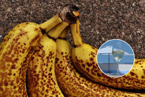 Vino od banana: Austrijski biznismen spašava banane od bacanja i od njih pravi vino