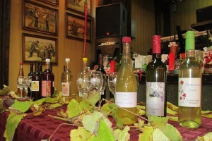 Tradicionalni festival vina sledeći vikend u Temerinu
