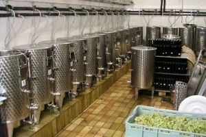 Za preradu i marketing u proizvodnji vina izdvojeno 250 miliona dinara