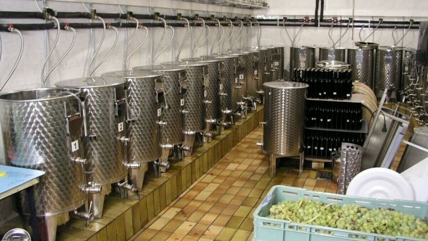 Za preradu i marketing u proizvodnji vina izdvojeno 250 miliona dinara