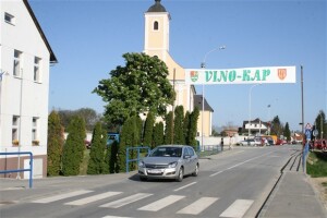 10. Vino-kap u Kaptolu okupio Zlatnu dolinu + [foto]