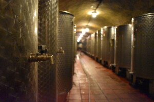 APPRRR: Objavljen popis proizvođača s utvrđenom kvotom vina za destilaciju