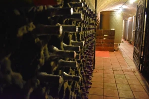Prodaja vina pala za 50 posto, kako riješiti ukupnu nelikvidnost?