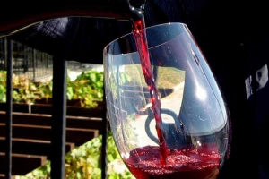 Rakijari i vinogradari - šta će izvući iz "pokislog" voća?