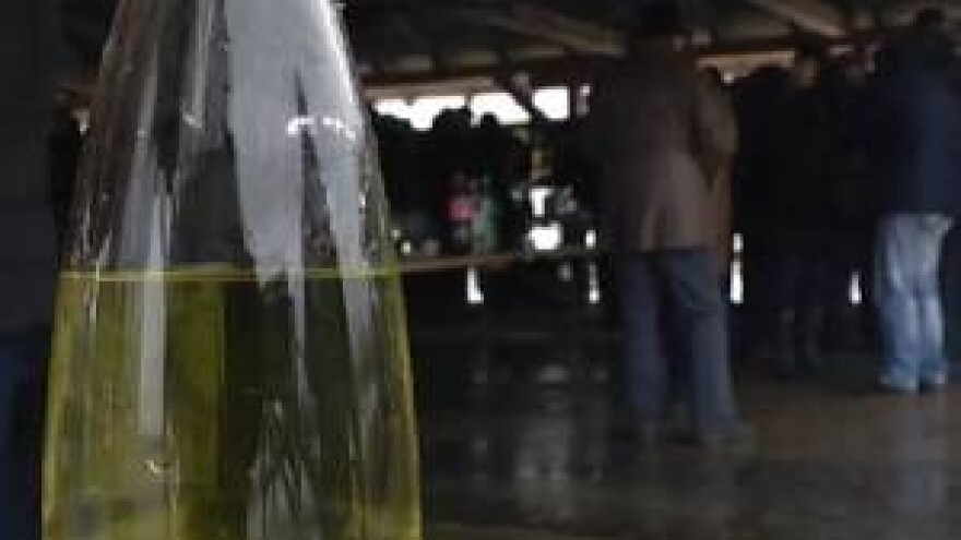 Snježna Vinceška na Banovom brdu