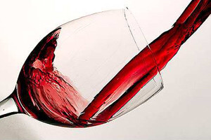 Vincro 2009.