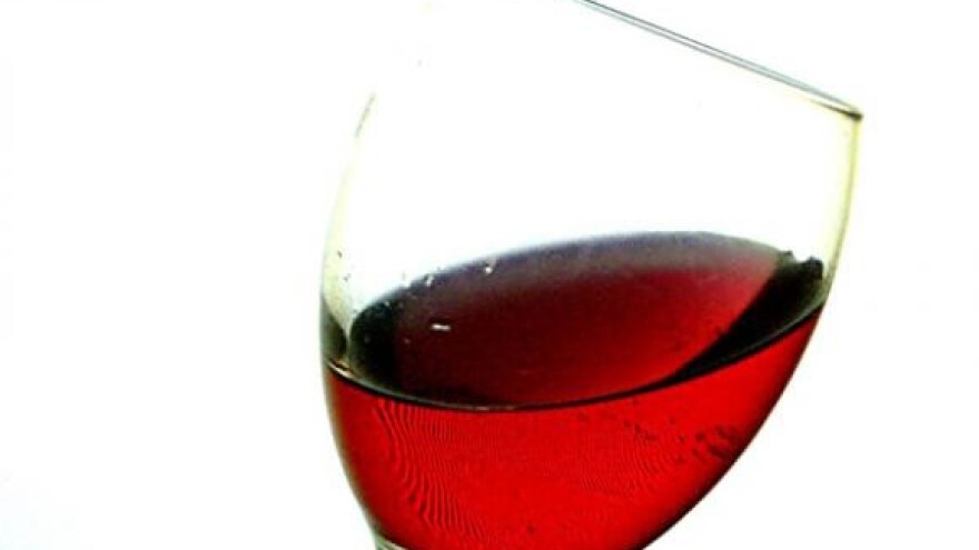 Otvaranje twinning light projekta IPA TAIB 2007