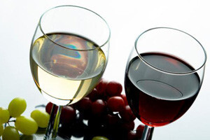 Zagreb wine gourmet festival