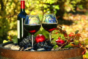 Vinistra - vodeća izložba vina održana u Poreču