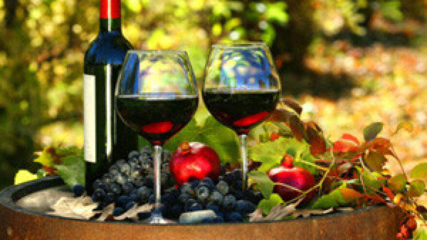 Vinistra - vodeća izložba vina održana u Poreču