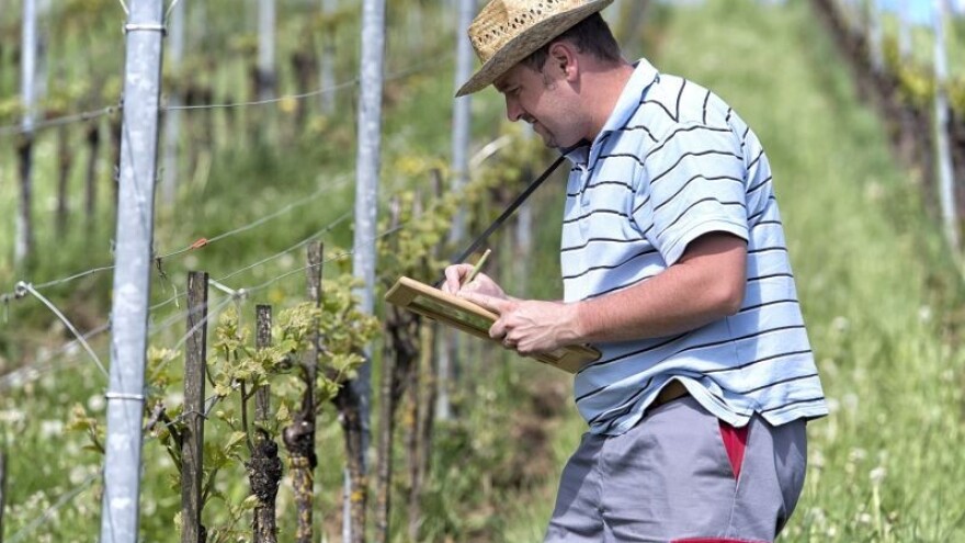 Francuzi se brinu za selo