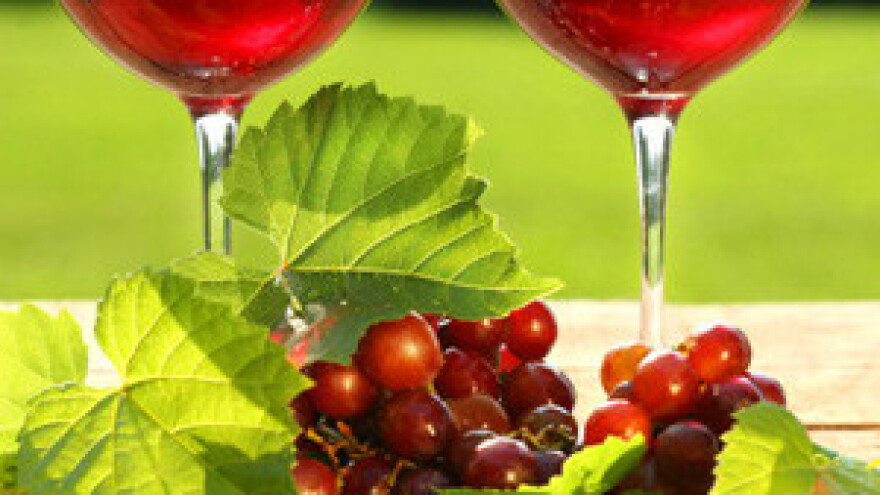 Počela 21. Sabatina