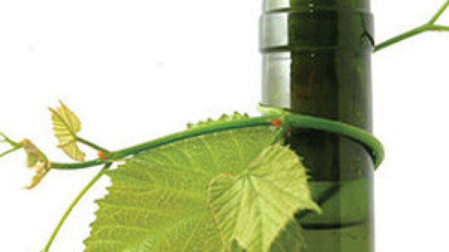 Slavonija treba više promovirati svoju graševinu