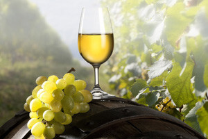 Izjava o zalihama mošta, vina i voćnog vina