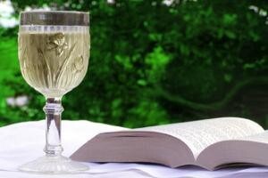 Prodaja vina putem interneta vinarima olakšava krizu